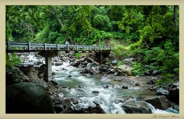 Upshift Magazine feature — Ultimate Rides Costa Rica tour — photo 13